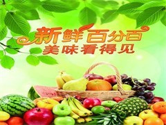 保定广告策划